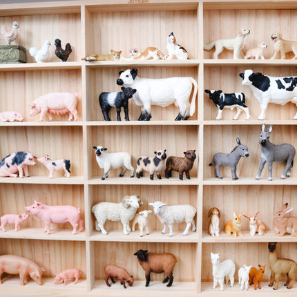 Loose Parts & Animal Figures Organizer