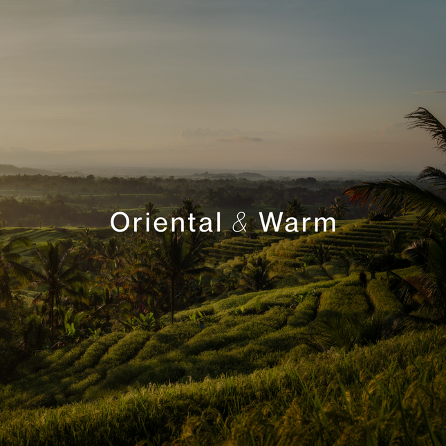 Scenic sunrise over lush green terraces evoking calm, ideal for UBUD TRAVEL TIN SOY CANDLE (4oz / 135g) ambiance.