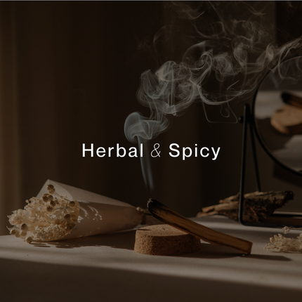 12 LIMA BOTANICAL SOY WAX MELTS with herbal and spicy aroma helping families thrive with tools to calm connect and support
