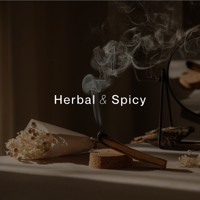 12 LIMA BOTANICAL SOY WAX MELTS with herbal and spicy aroma helping families thrive with tools to calm connect and support