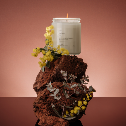 NATIVES SINGLE WICKED SOY CANDLE (8oz / 226g) lit on brown rocks with yellow flowers, helping families thrive with tools to calm connect and support