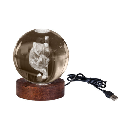 Koala 3D Crystal Ball Lamp