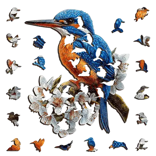 Azure Kingfisher - Sensory Circle
