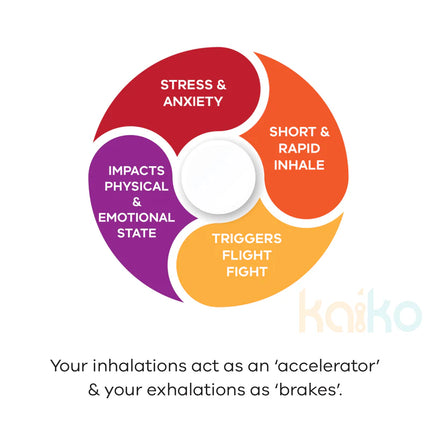 Diagram explaining stress and anxiety cycle with breathing effects for Breath Tool 304 grade Stainless Steel IN WINDOW TIN - Mindful Breathing Unisex Necklace