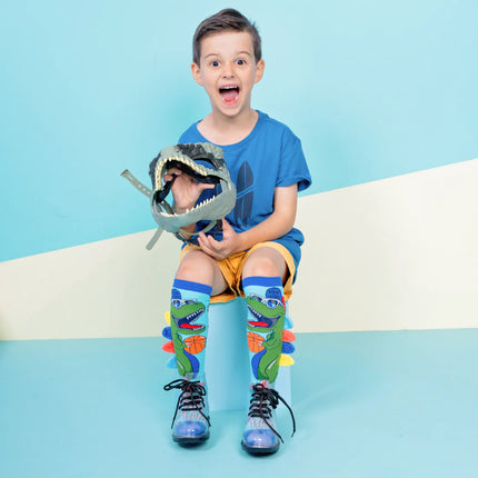 Dinosaur Socks - Sensory Circle