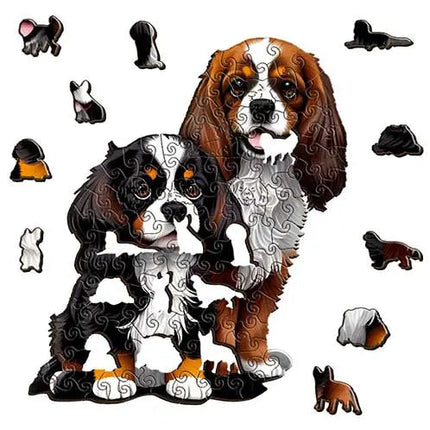 Cavalier Cuties - Sensory Circle