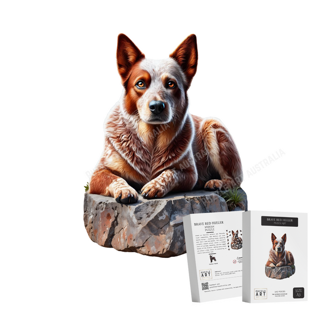 Brave Red Heeler