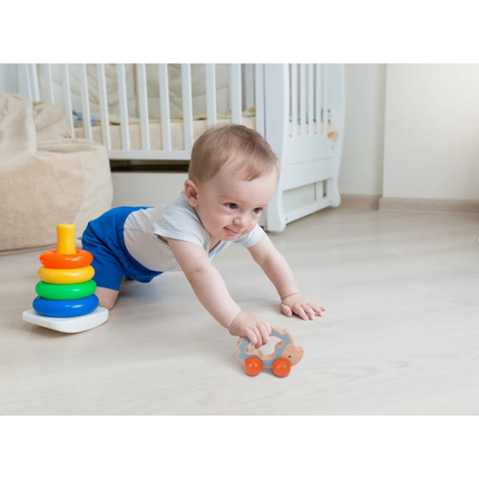 Wooden Montessori Educational Toy Box for Baby 7-12 Months