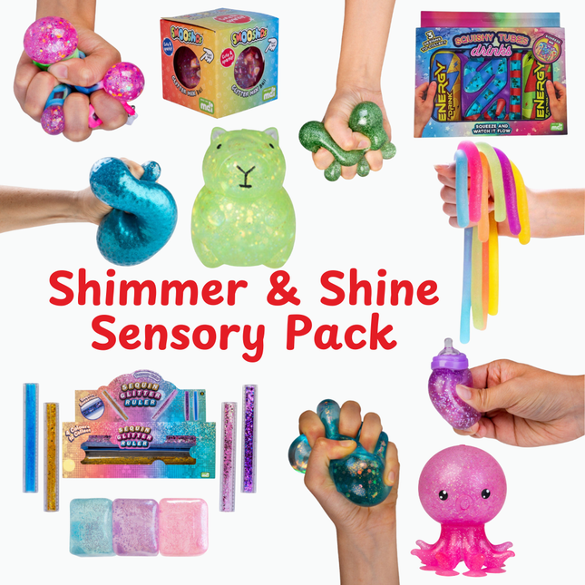Shimmer & Shine Sensory Pack