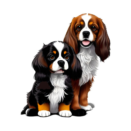 Cavalier Cuties - Sensory Circle