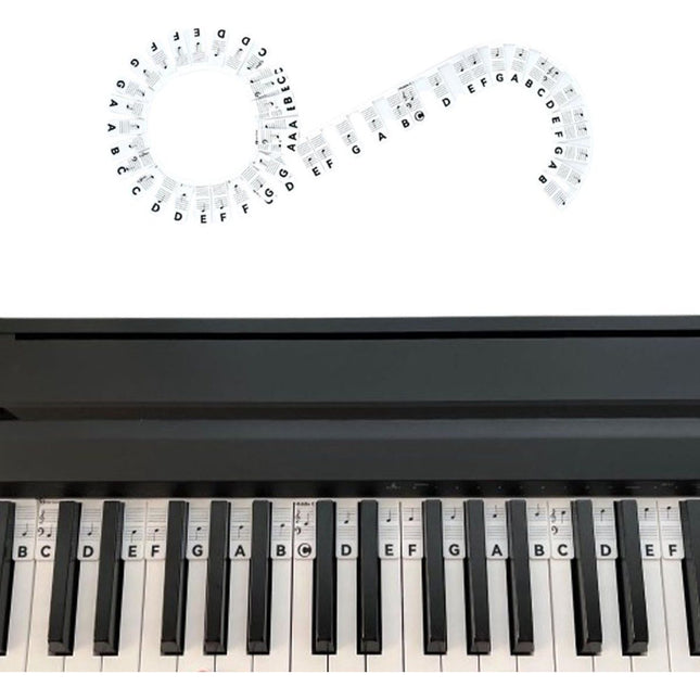 Removable Silicone Piano Stickers - 88 Keys - Key Guide - Keyboard Stickers - Reusable - Learn Music Notes Easily - Learn to Play Strip - Includes Storage Box - For Beginners Dropshipzone