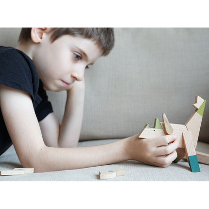 Wooden Magnetic - Triceratops Puzzle Toy - Sensory Circle