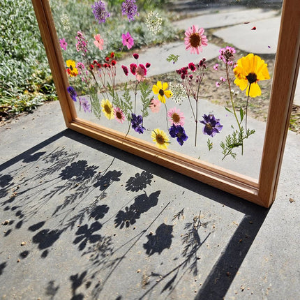 Acrylic Display Frame - Solid BeechWood Frame