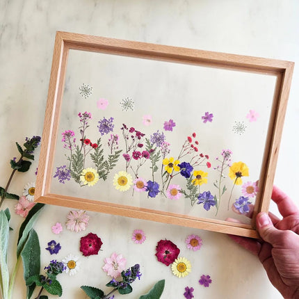 Acrylic Display Frame - Solid BeechWood Frame