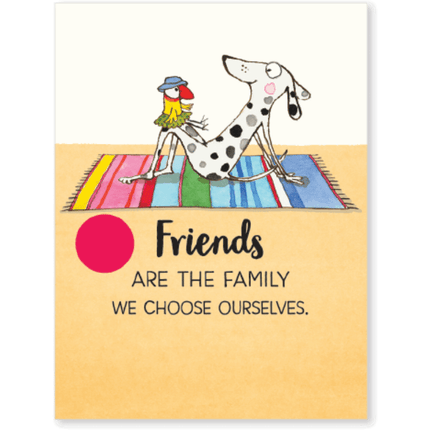 Friendship - Twigseeds 24 affirmation cards + stand - Sensory Circle