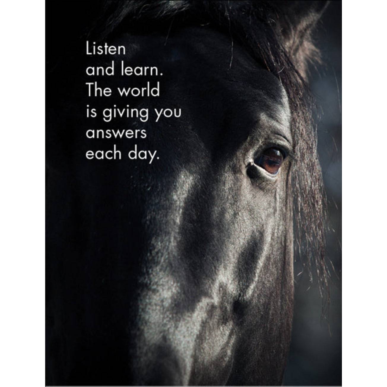 Horse Sense - 24 affirmation cards + stand - Sensory Circle