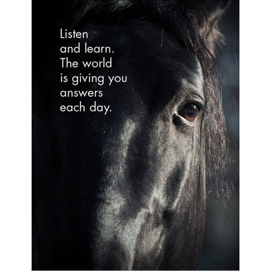Horse Sense - 24 affirmation cards + stand
