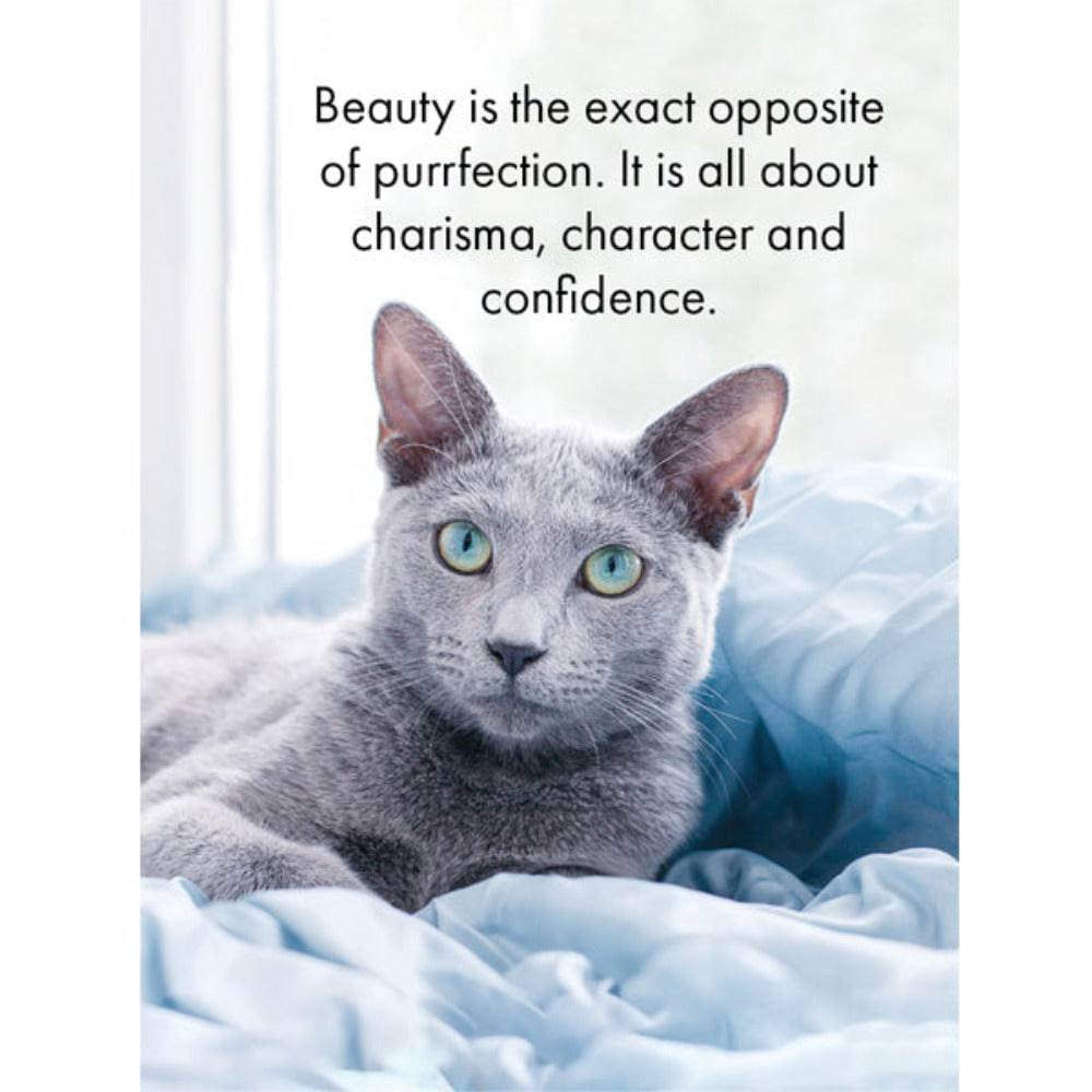 The Cat's Whiskers 24 affirmation cards + stand - Sensory Circle
