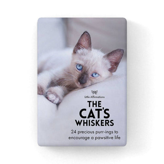 The Cat's Whiskers 24 affirmation cards + stand