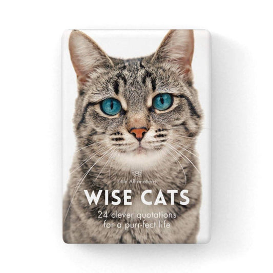 Wise Cats - 24 affirmation cards + stand