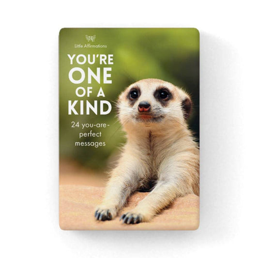 You're One of a Kind - 24 affirmation cards + stand