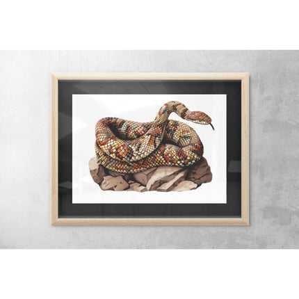 Brown Snake - Sensory Circle