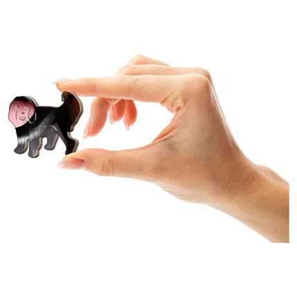 Cavalier Cuties - Sensory Circle