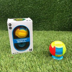 Wisdom Ball Cube - Sensory Circle