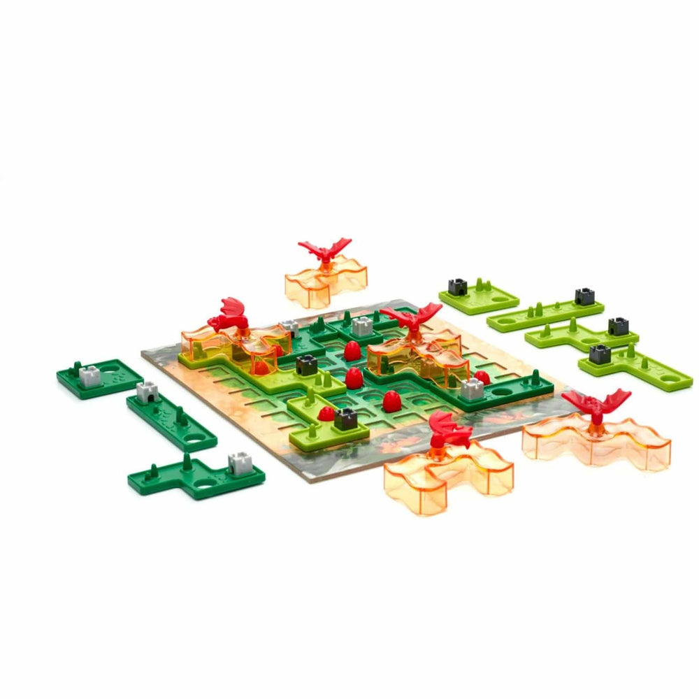 Dragon Inferno - Sensory Circle