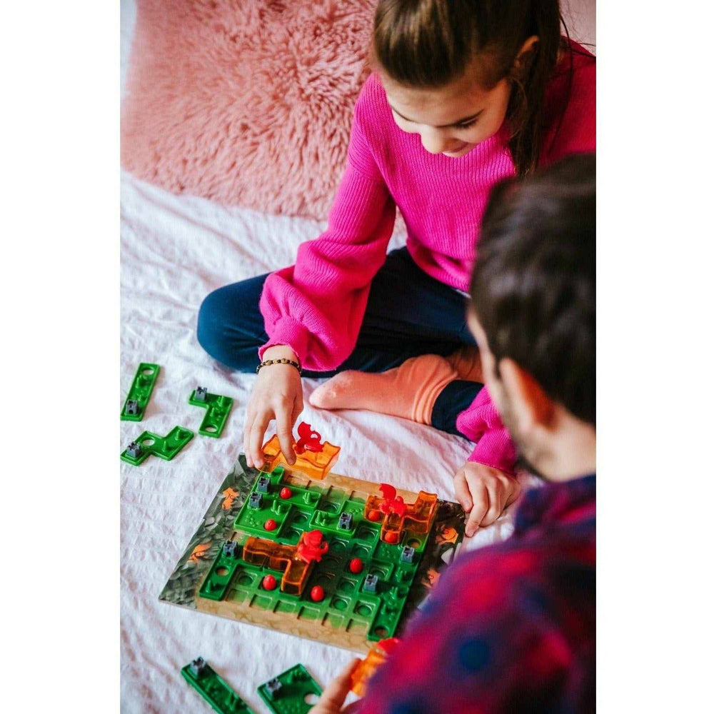 Dragon Inferno - Sensory Circle