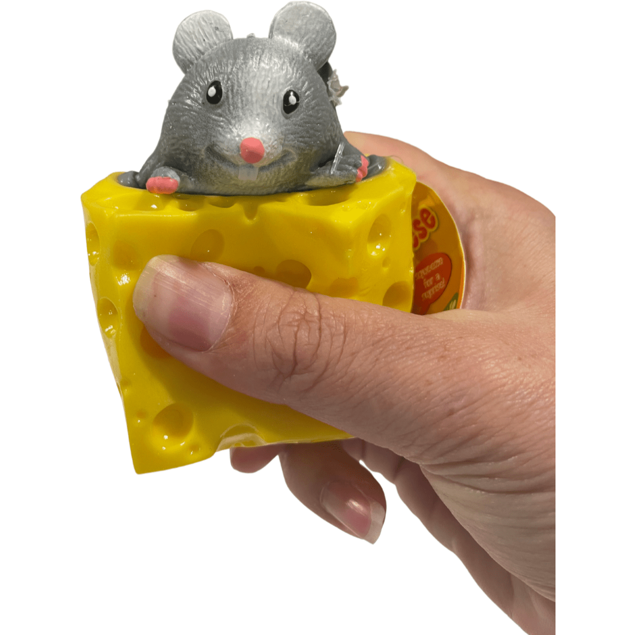 Pop Up Mouse in the Cheese - Sensory Circle