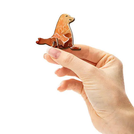 Friendly Sea Lion - Sensory Circle